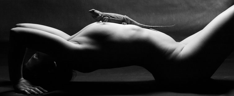 Akt- und Dessousfotografie Bild 16